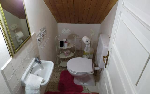 CASA IDA - ClPAT 22253