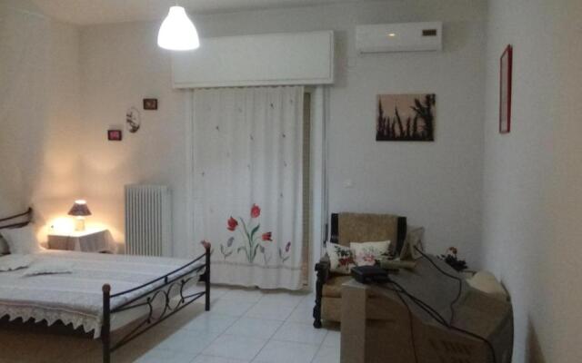 SOFIES CHOICE 50 m2 Standard Apartment