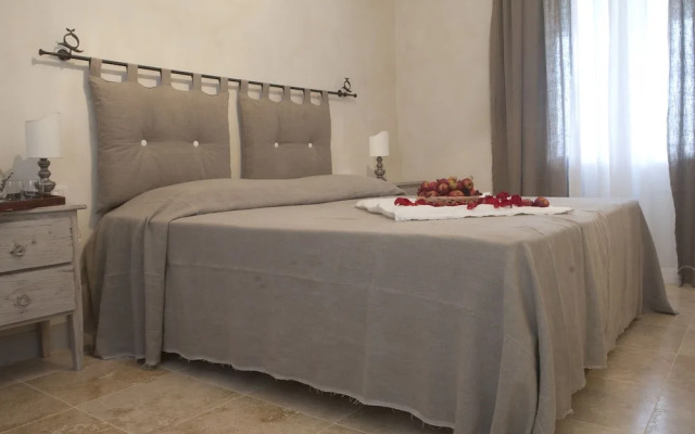 Rinidia Siena Celso Cittadini Grande
