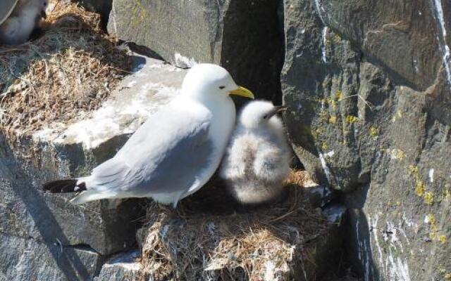 The Convent Guesthouse
