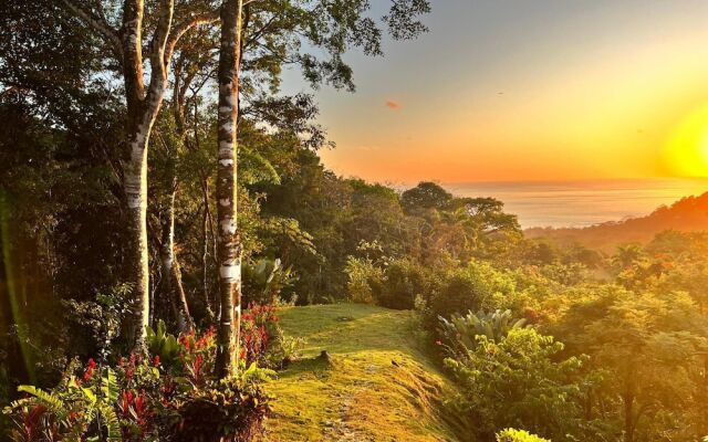 Luxury Jungle Haven Ocean View Infinity Pool