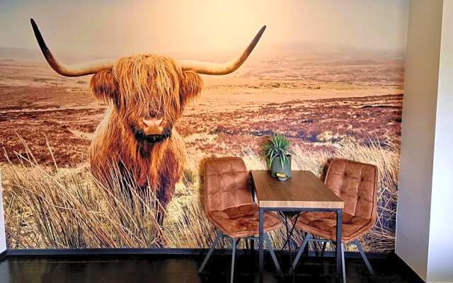 De Schotse Hooglander