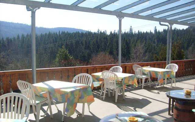 Schwarzwaldhotel-Gasthof Hirsch