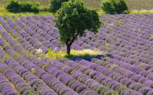 Ibis Orange Centre Échangeur A7 A9