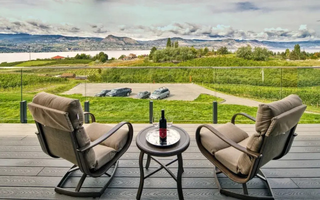 Therapy Vineyards