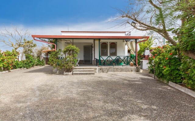 2339 Trilo Imma by Barbarhouse