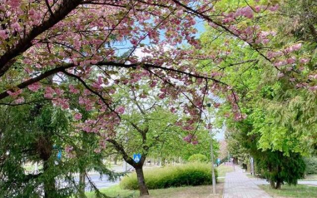 AquaLITA Apartman Zalakaros