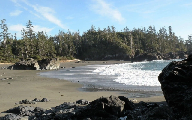 Pacific Drift Inn