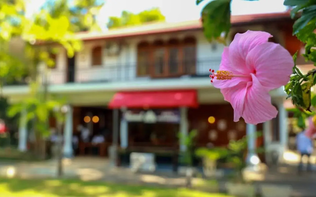 Wisdom Boutique Resort