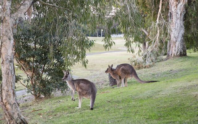 The Lotus Retreat at Horizons, Villa 136