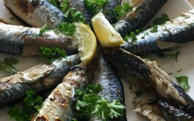 Airds Bay Luxury Beach House