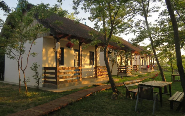 Gradina Aricilor Sf Gheorghe