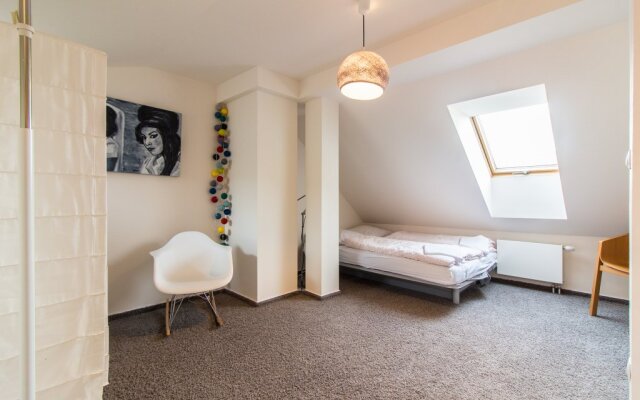 Krizikova Apartment Prague 8