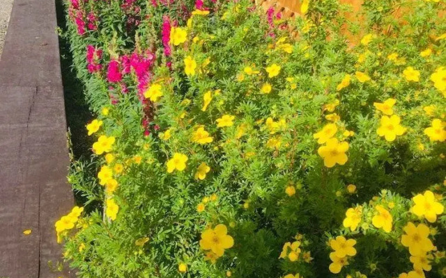 Jasper House Bungalows