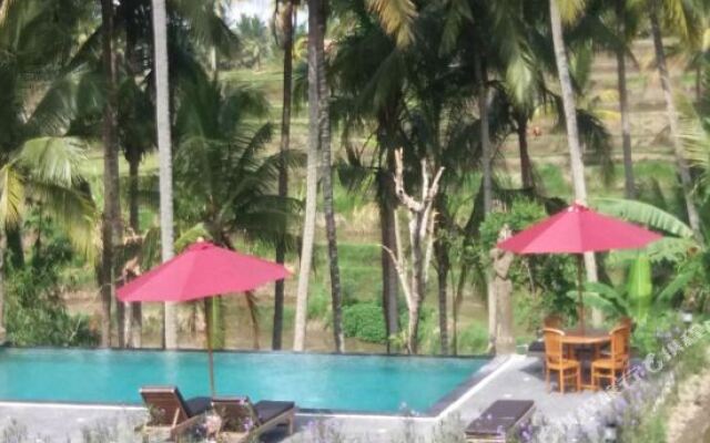 Arjana Bungalows Rice Field