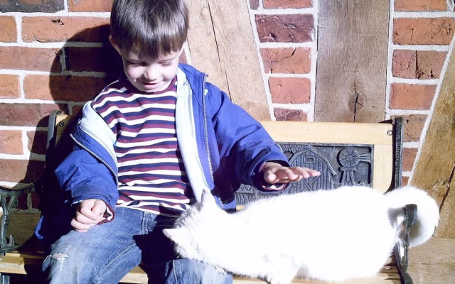 Spacious Apartment With Garden