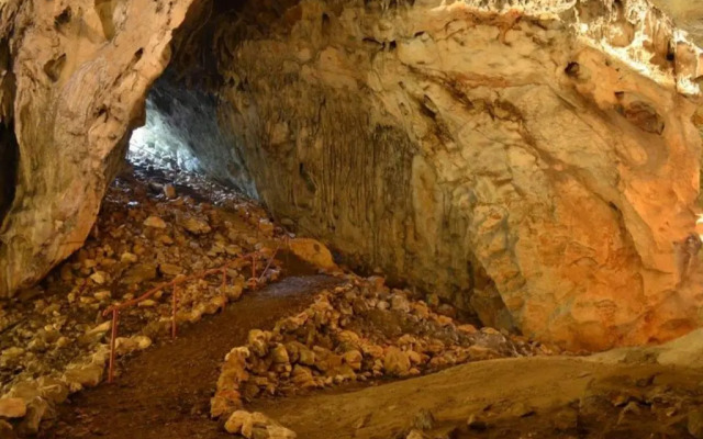 Bed and Breakfast Albatros