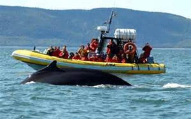 Hôtel Sous la Croix