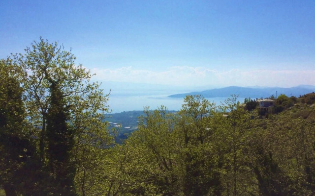 Pelion Homes Stone House 2 Rooms