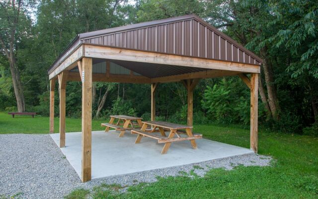 Super 8 by Wyndham Elkins