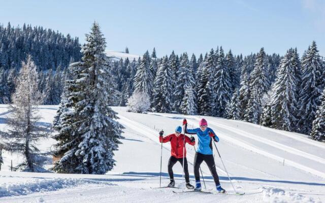 Ferienwohnung Seeblick Nr 5 - 2 Zi-Bärental, Feldberg