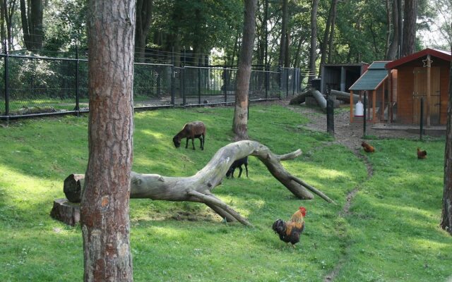 Comfortable Chalet Near Brunssummerheide