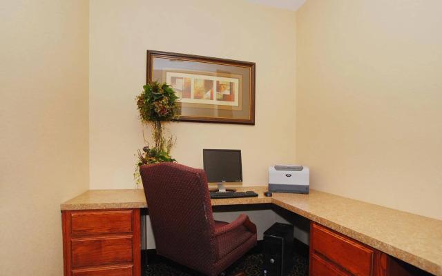 Best Western South Plains Inn & Suites