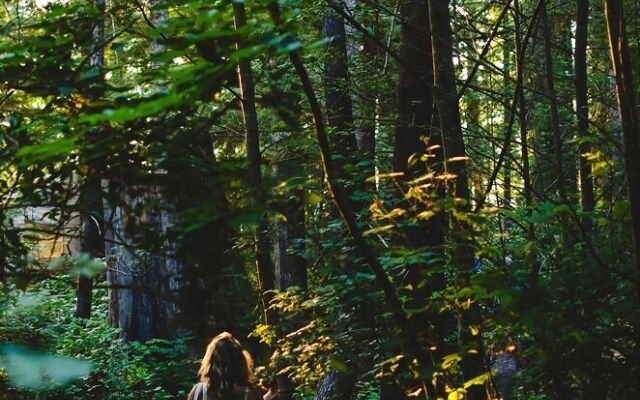 Wilderness Resort & Retreat - Cawley Point