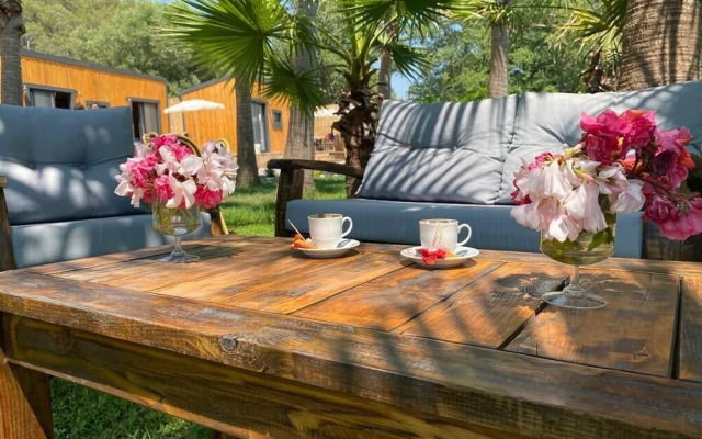 Riverside Gocek Apart Otel Tiny House