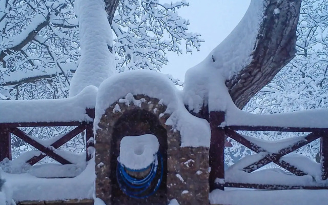 Petrino Lodge