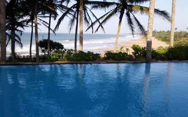Turtle Bay