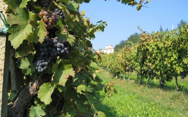 Agriturismo La Moraia