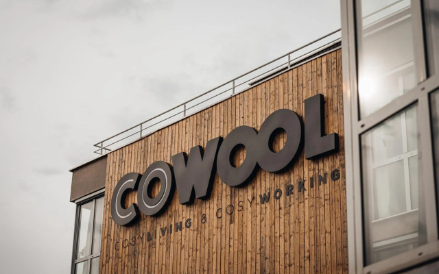 Cowool Cergy