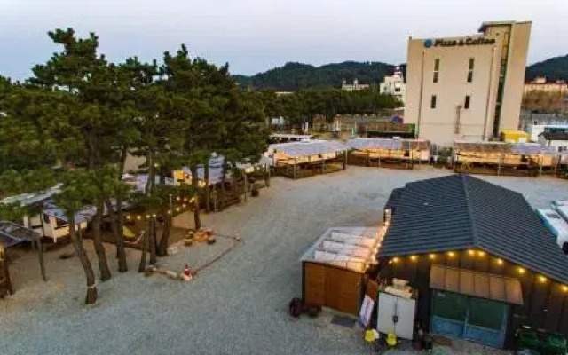 yangyang hajodaekaempingka