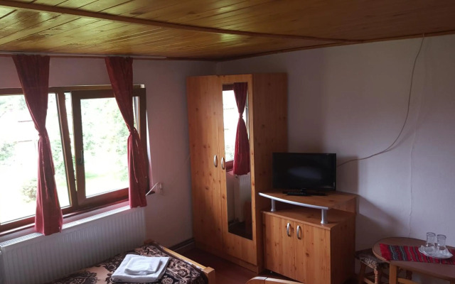 Pensiunea Dealul Frumos