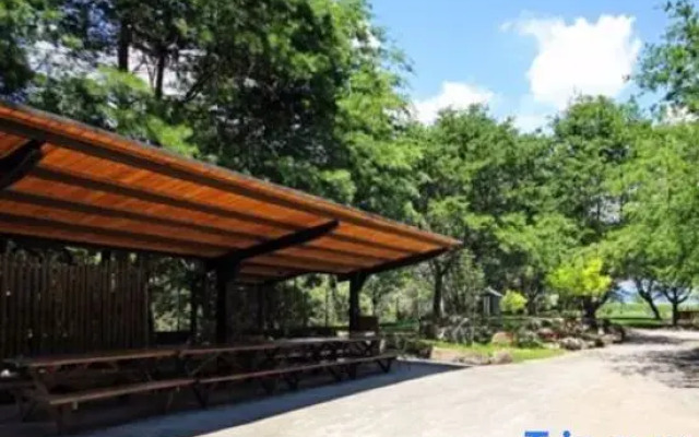 Pines Garden