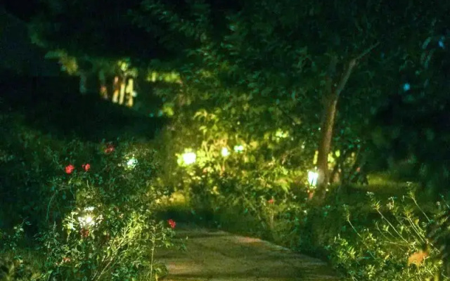 The Earth At Ranthambore