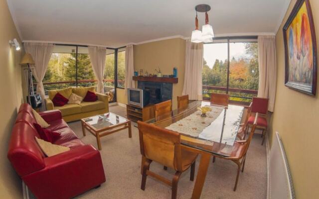 Departamento Cerro Pucon