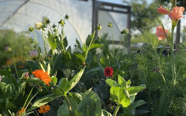 The Talbot at Knightwick