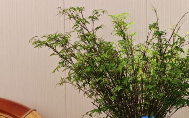 Shenzhen Chunhui Linyuan Homestay