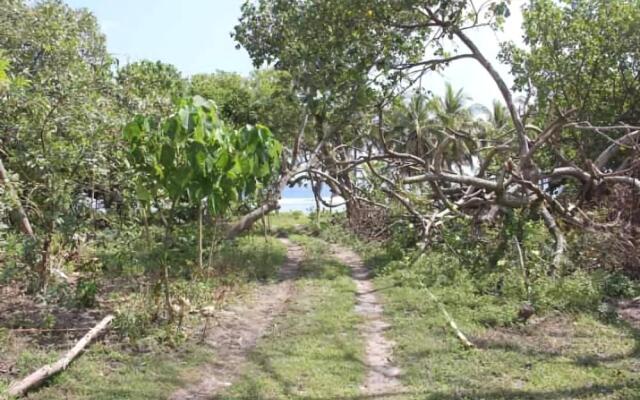 Alofa Beach Bungalows