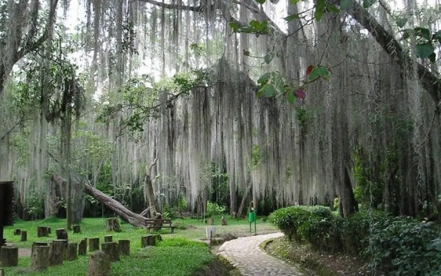 Hotel Victoria Barichara