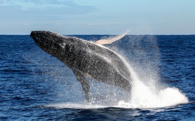 On the Beach Getaway