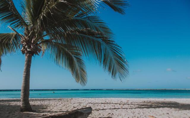 Experience the Groovy Harbour House Lifestyle