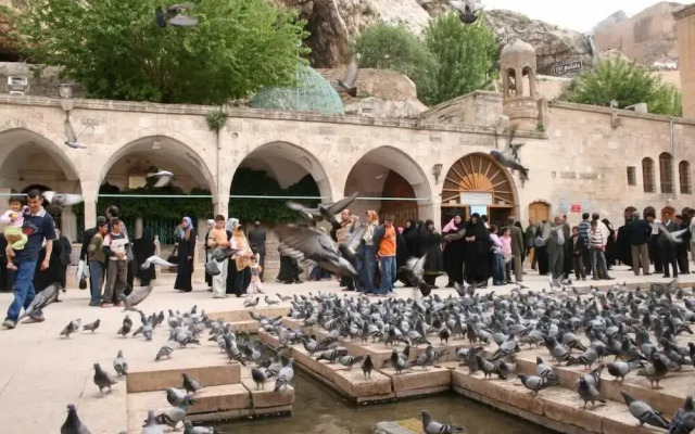 Turkmen Konagi