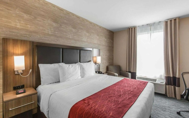Comfort Inn & Suites Airport North