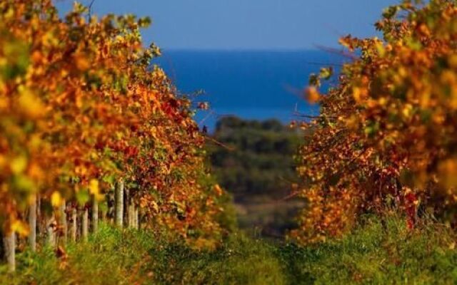 Wine And Roses Bed And Breakfast