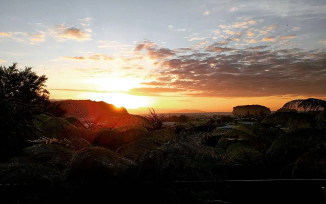 Whangamata Vistas B&B