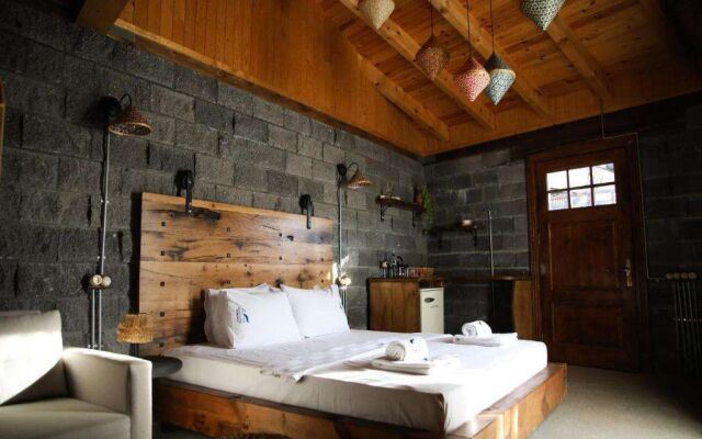 Mavi At Hotel Blue Horse