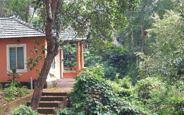 Jungle Valley Resort